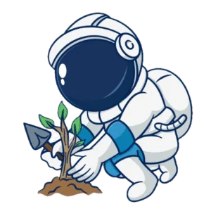 starter seo package for small websites
