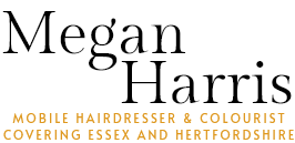 Hair by Megan logo