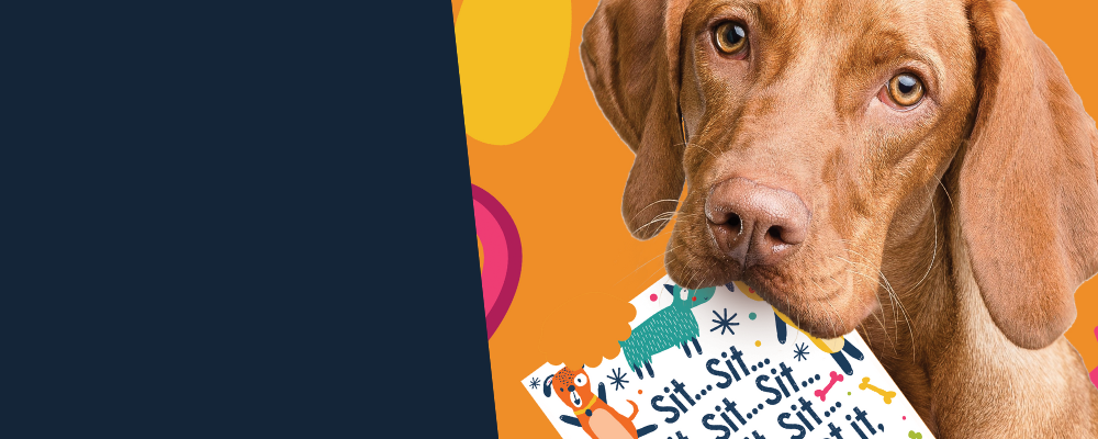 Scoff Paper edible cards ecommerce product range